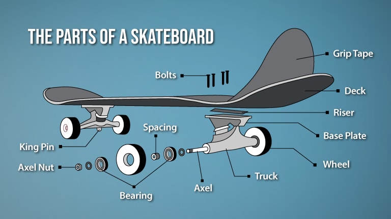 Parts of a Skateboard