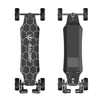 RALDEY V2 Carbon Fiber Off Road Skateboard